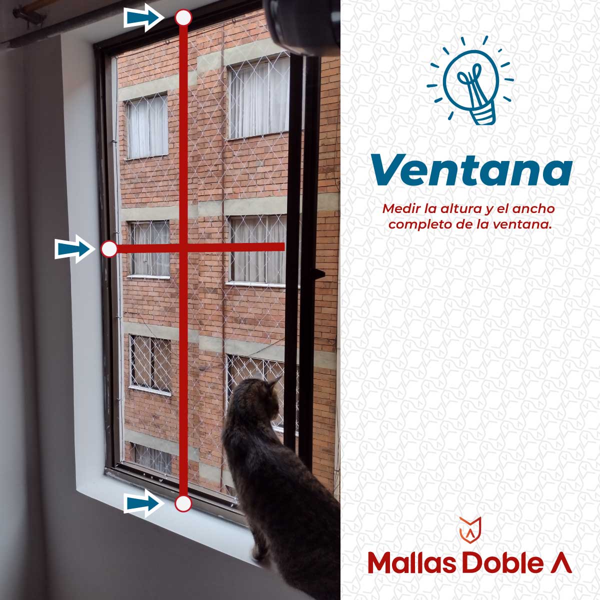 Mallas para gatos - Seguridad en ventanas y balcones para niños y gatos